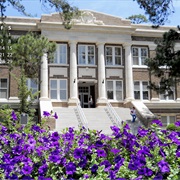 Stephen F. Austin State