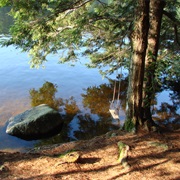 Pawtuckaway State Park