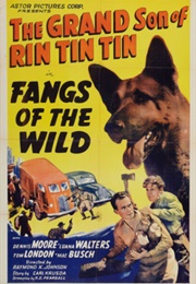 Fangs of the Wild (1939)