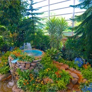 Saskatoon Civic Conservatory