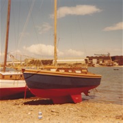 Tom James Scott - Teal