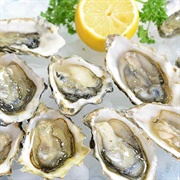 Oysters