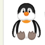 Lil' Penguin