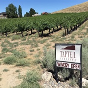 Tapteil Vineyard Winery (Benton City)