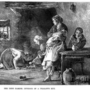 Irish Potato Famine