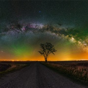 Starry Saskatchewan Skies