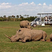 Werribee Open Range Zoo