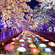 Jinhae Gunhangje Festival