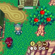 Animal Crossing