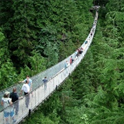 Capilano Suspension Bridge Park