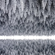 The Heads Are Zeros - The Heads Are Zeros