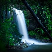 Tamborine National Park (QLD)