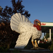 World's Largest Turkey, Frazee, Minnesota