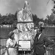 Petrified Tree (1957-Present)