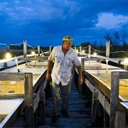 Tangier and Smith Islands, Chesapeake Bay