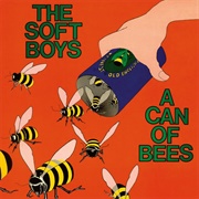 The Soft Boys- A Can of Bee&#39;s
