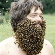Bee Beard