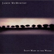 James McMurty - Saint Mary of the Woods