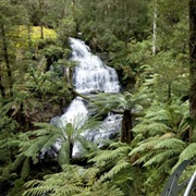 Great Otway National Park