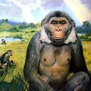 Ramapithecus Jaw Found (1932)