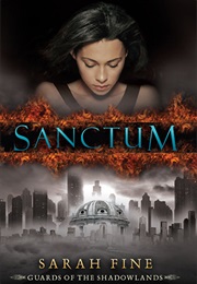 Guards of the Shadowlands Series (Sarah Fine)