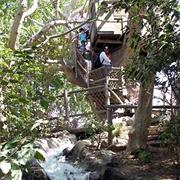 Tom and Huck's Tree House (1956-Present)