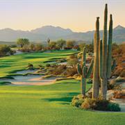 We-Ko-Pa (Saguaro) US