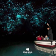 Canoe Through Glow Worm Caves in New Zealand
