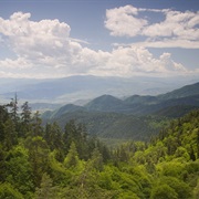 Borjomi-Kharagauli National Park