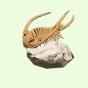 Trilobite
