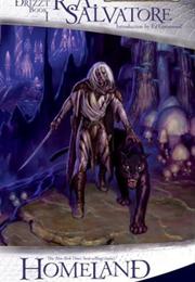The Legend of Drizzt Series