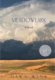 Meadowlarks (Dawn Wink)