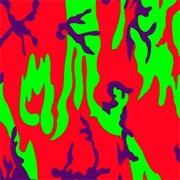 U.S. Maple - Sang Phat Editor