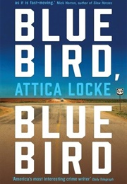 Bluebird, Bluebird (Attica Locke)