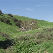 Chino Hills State Park