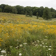 Moraine Hills State Park, Illinois