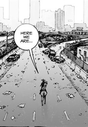 The Walking Dead (Kirkman and Bonansinga)