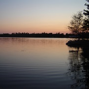 Lake Marion (South Carolina)