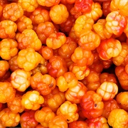 Cloudberry (Rubus Chamaemorus)