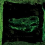 Avey Tare - Down There