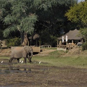 Mana Pools, Zimbabwe