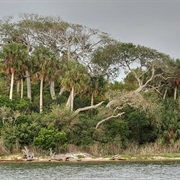 Cedar Keys National Wildlife Refuge