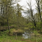 Nisqually National Wildlife Refuge