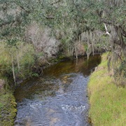 Paynes Creek Historic State Park, Florida