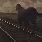 Bruce Cockburn - Night Vision