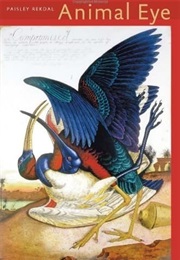 Animal Eye (Paisley Rekdal)