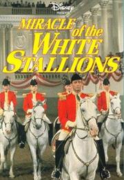 Miracle of the White Stallions