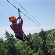 Wildwood Outdoor Adventure Park