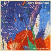 Dave Bainbridge - Veil of Gossamer