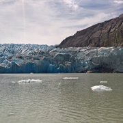 Lago Grey Patagonia